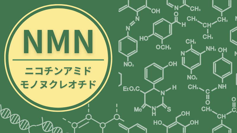 NMN（ニコチンアミド・モノヌクレオチド）とは？