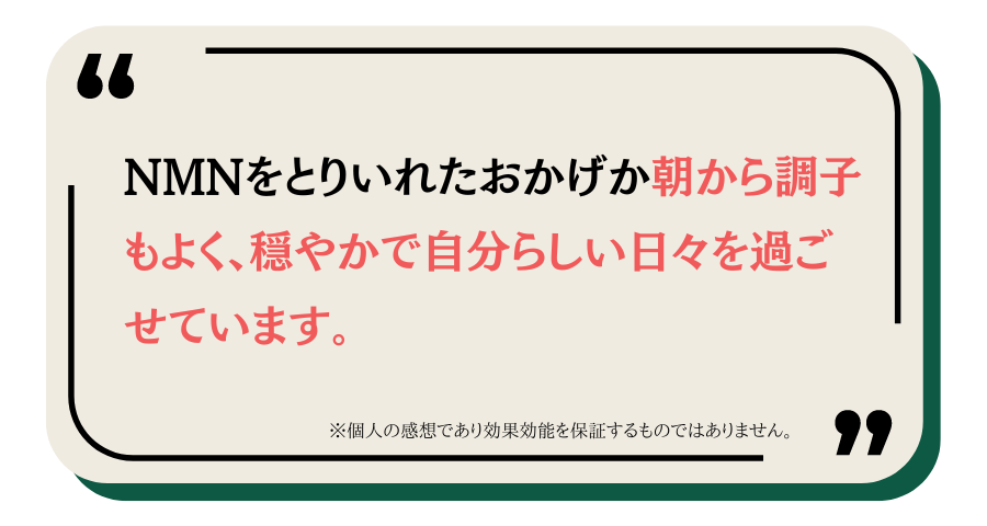 nonlie NMN10230プラスの口コミ